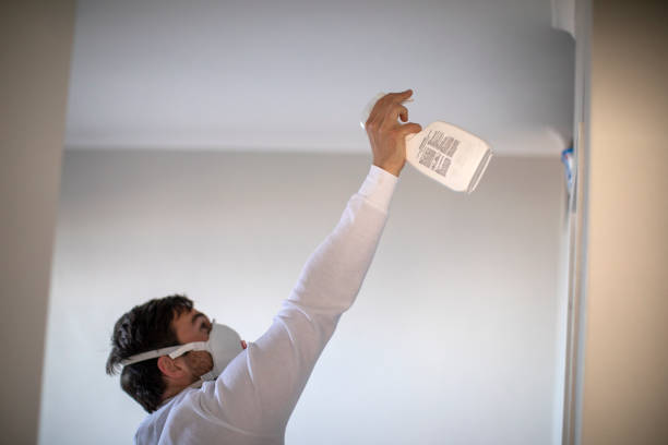 Best Emergency Mold Removal  in Black Creek, WI