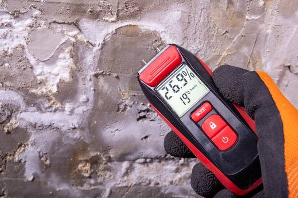 Best Mold Removal Near Me  in Black Creek, WI